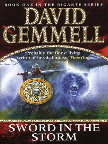 Cover of Sword In The Storm