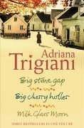 Cover of The Big Stone Gap Trilogy