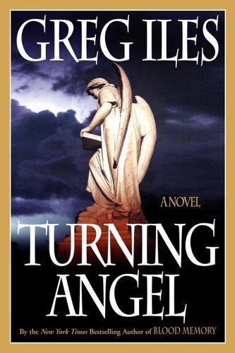 Cover of Turning angel