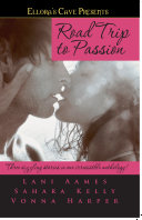 Cover of Road Trip to Passion
