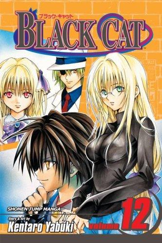 Cover of Black Cat, Volume 12