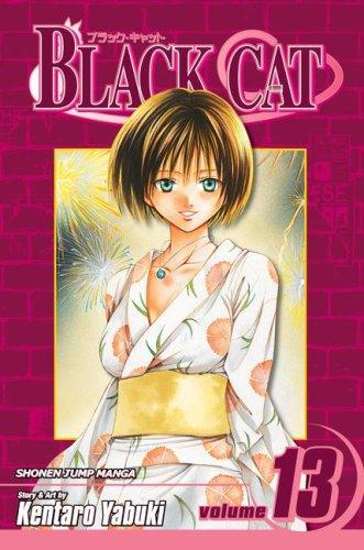 Cover of Black Cat, Volume 13