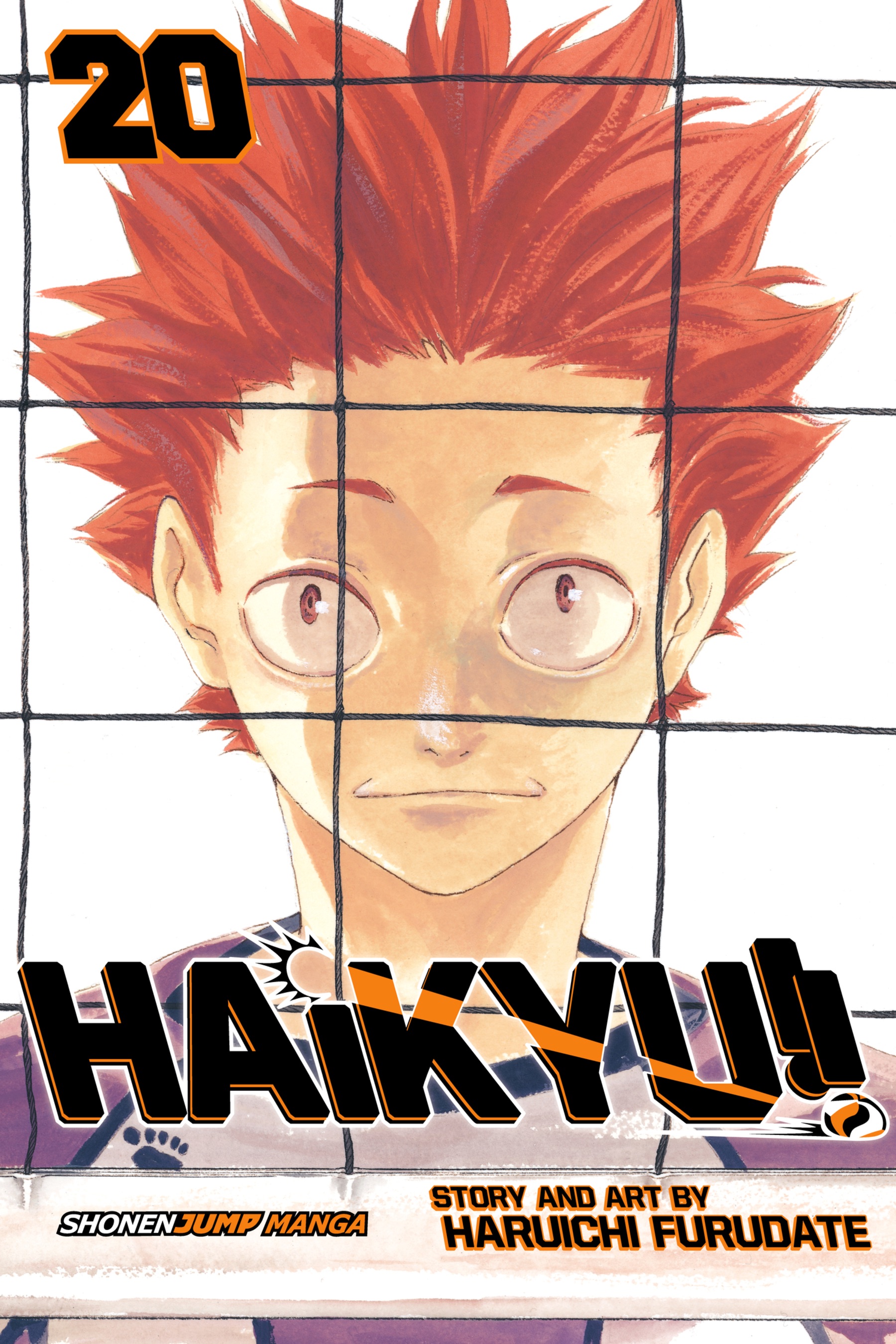 Cover of Haikyu!!, Vol. 20: Particular