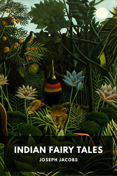 Cover of Indian Fairy Tales