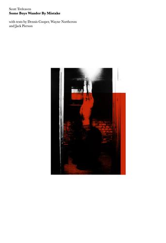 Cover of Some Boys Wander by Mistake