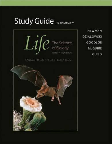 Cover of Study Guide to Accompany