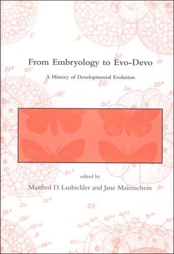 Cover of From embryology to evo-devo