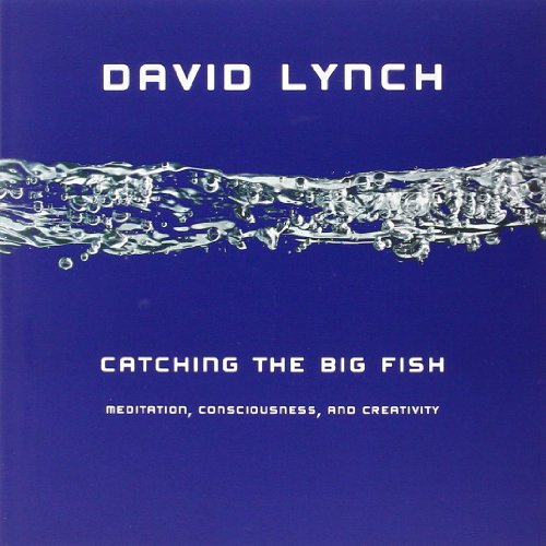 Cover of Catching the Big Fish: Meditation, Consciousness, and Creativity