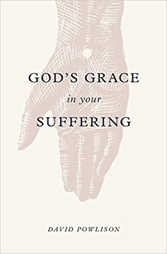 Cover of God's grace in your suffering
