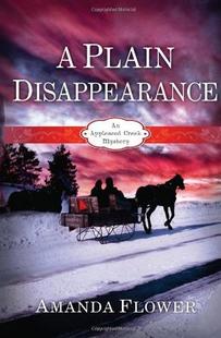 Cover of A Plain Disappearance