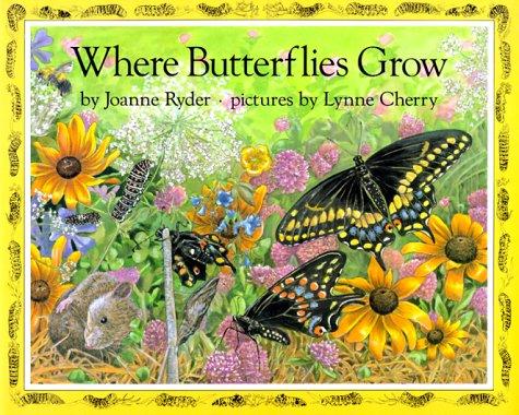 Cover of Where Butterflies Grow
