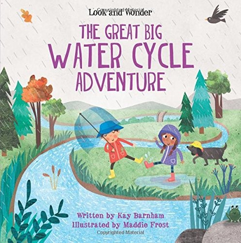 Cover of The Great Big Water Cycle Adventure