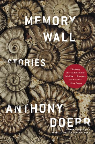Cover of Memory Wall