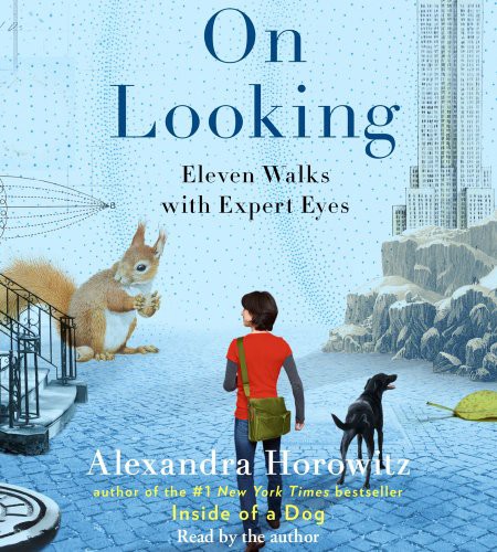 Cover of On Looking Eleven Walks with Expert Eyes