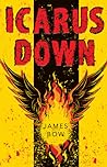 Cover of Icarus Down