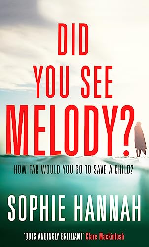 Cover of Did You See Melody?
