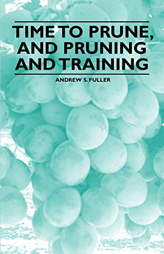Cover of Time to Prune, and Pruning and Training
