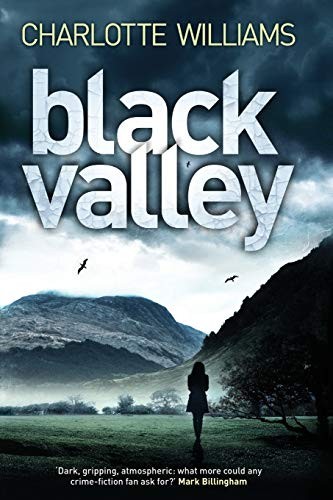 Cover of Black Valley