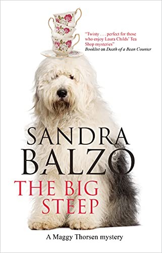 Cover of Big Steep
