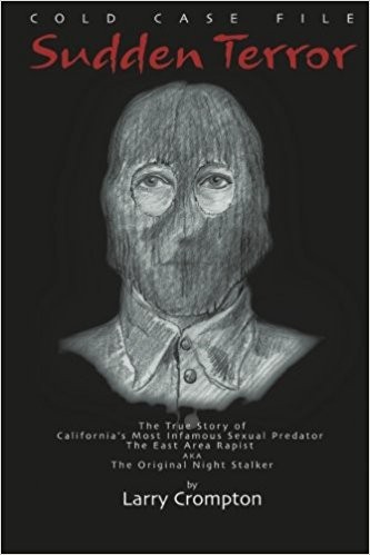 Cover of Sudden terror