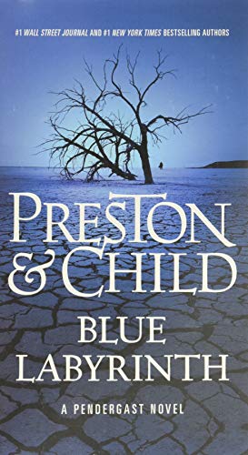 Cover of Blue Labyrinth