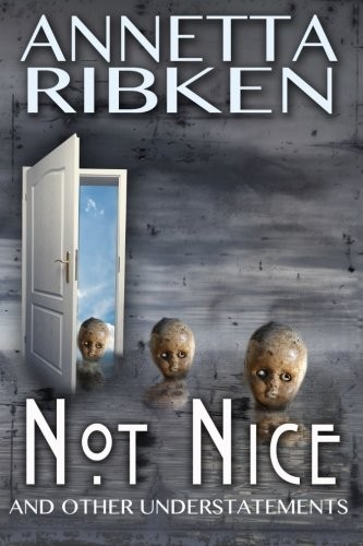 Cover of Not Nice