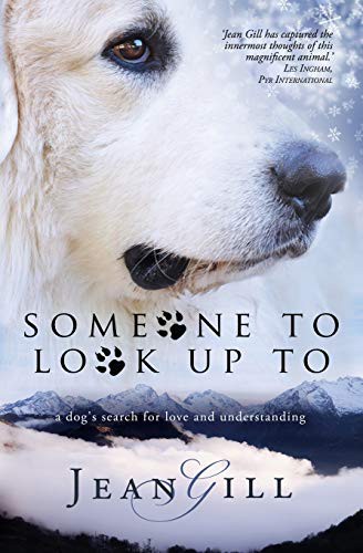 Cover of Someone To Look Up To