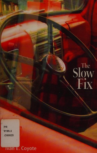 Cover of The slow fix