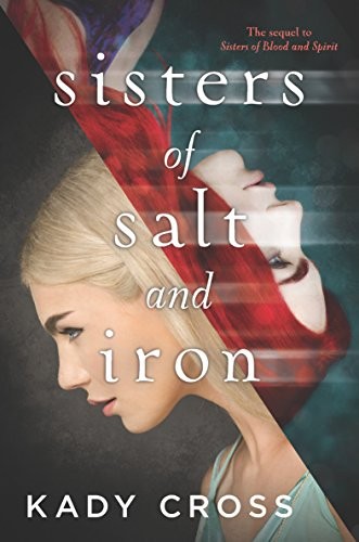 Cover of Sisters of Salt and Iron (Sisters of Blood and Spirit Book 2)