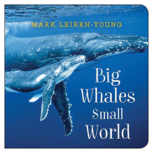 Cover of Big Whales, Small World