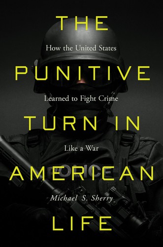 Cover of Punitive Turn in American Life