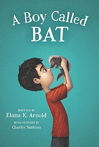 Cover of A boy called Bat