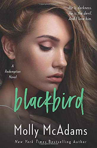 Cover of Blackbird