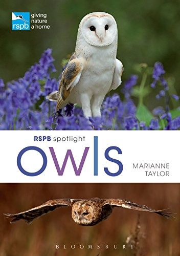 Cover of RSPB Spotlight Owls