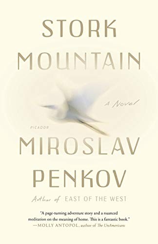 Cover of Stork mountain