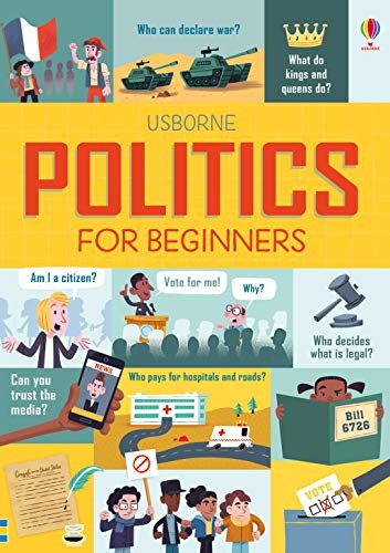 Cover of Politics for Beginners