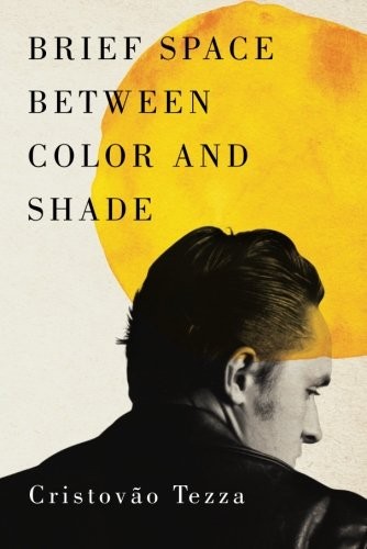Cover of Brief Space Between Color and Shade