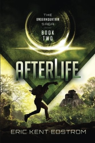 Cover of Afterlife