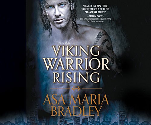 Cover of Viking warrior rising