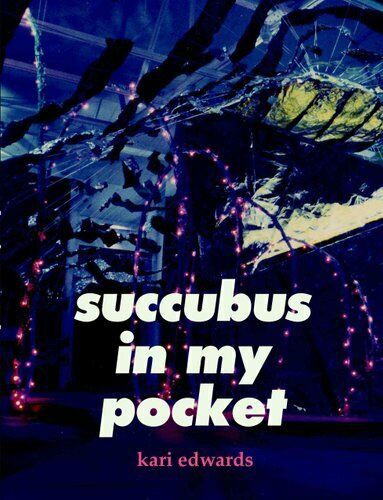 Cover of Succubus in my pocket