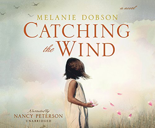 Cover of Catching the wind
