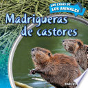 Cover of Madrigueras de castores (Inside Beaver Lodges)