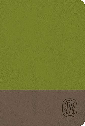 Cover of NRSV Wesley Study Bible