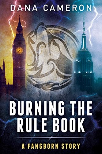 Cover of Burning the Rule Book