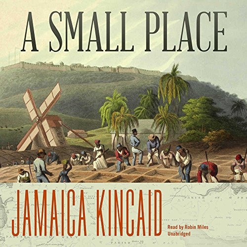 Cover of A Small Place