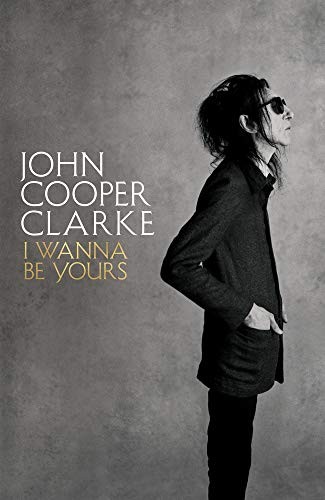 Cover of I Wanna Be Yours