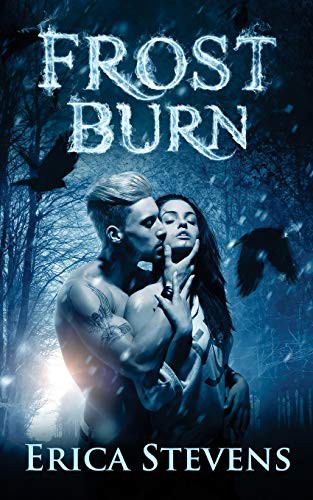 Cover of Frost Burn
