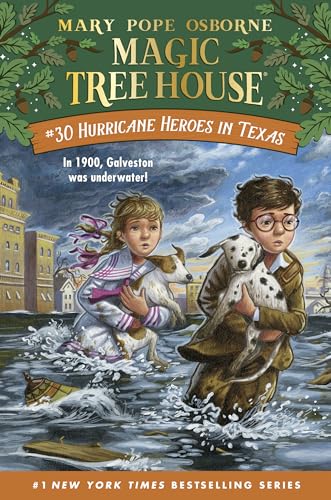 Cover of Hurricane Heroes in Texas
