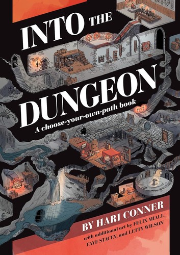 Cover of Into the Dungeon