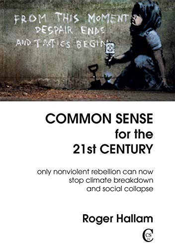 Cover of Common Sense for the 21st Century